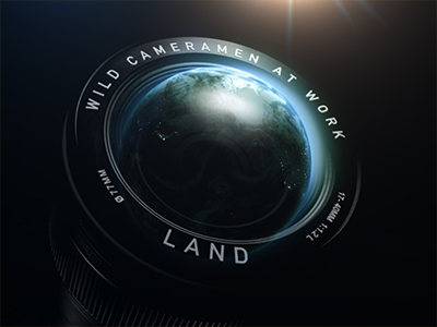 Wild Cameramen at Work